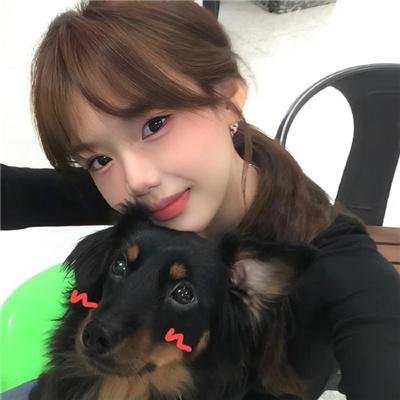 冒险兄弟第五季