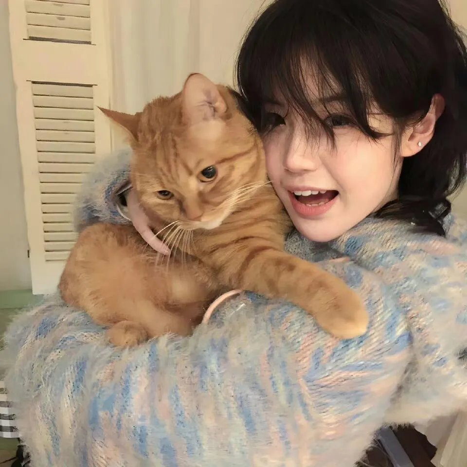 康纳一家第六季